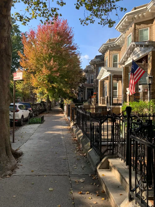 A tree-lined NYC residential street in autumn